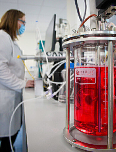 What is the role of Hydrolysates in Biotherapeutics Manufacturing?