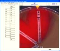 newetest®点击并阅读