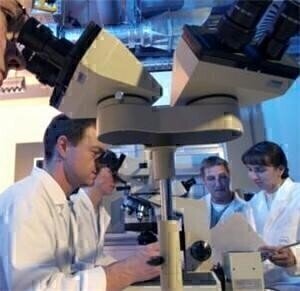 引入新的交互式信息学评估工具