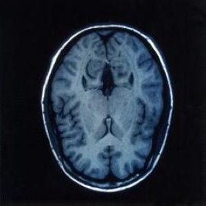 2009年第三届国际纳米生物技术和纳米医学大会