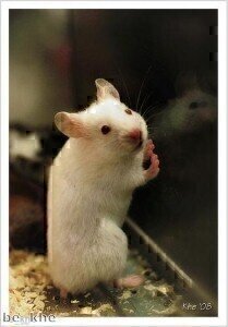 江西郭姚明工厂通过FDA检查