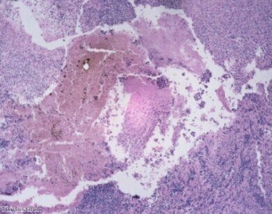 HPLC的实验室科学家和设备制造商的新产品雷电竞网址