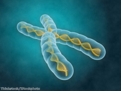安全/危害处理:生物安全柜完成NSF测试